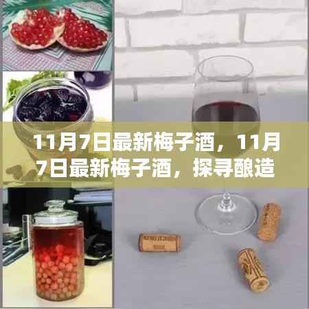 联系我们 第376页