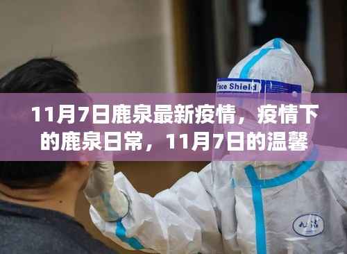 鹿泉抗疫故事,疫情下的日常与温馨抗疫行动(11月7日最新消息)