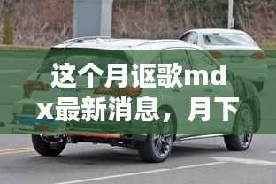 本月讴歌mdx最新动态,月下温情与友情传递的MDX日常