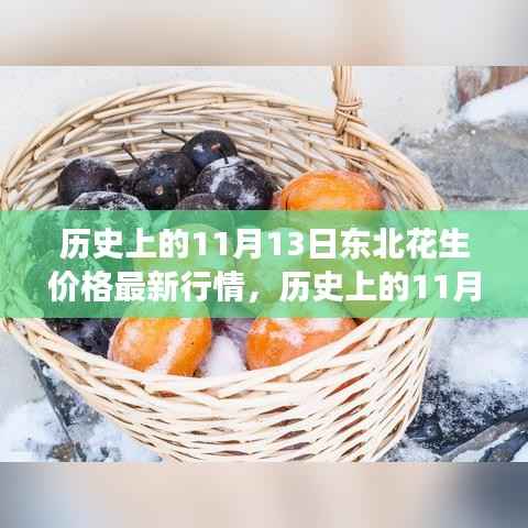 东北花生价格风云变迁,历史上的11月13日行情回顾与励志之旅