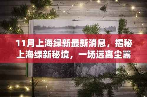 揭秘上海绿新秘境,探寻内心平静的奇妙之旅(最新消息)