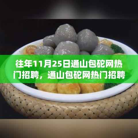 通山包砣网招聘热潮揭秘,智能招聘与高科技产品的融合之旅