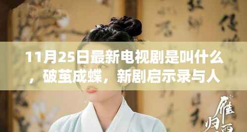 破茧成蝶,新剧启示录与人生跃迁之旅