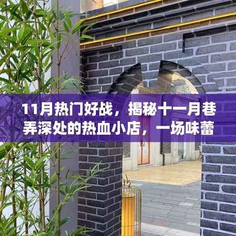 揭秘十一月巷弄深处的热血小店,味蕾与灵魂的碰撞之战