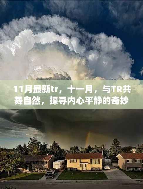 联系我们 第282页