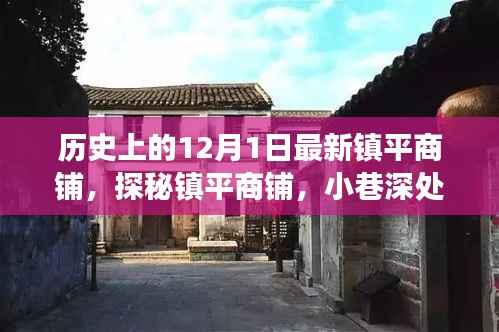 镇平商铺探秘,历史印记下的惊喜之旅(12月1日)