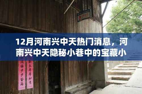 河南兴中天宝藏小店,十二月独家热门探秘之旅