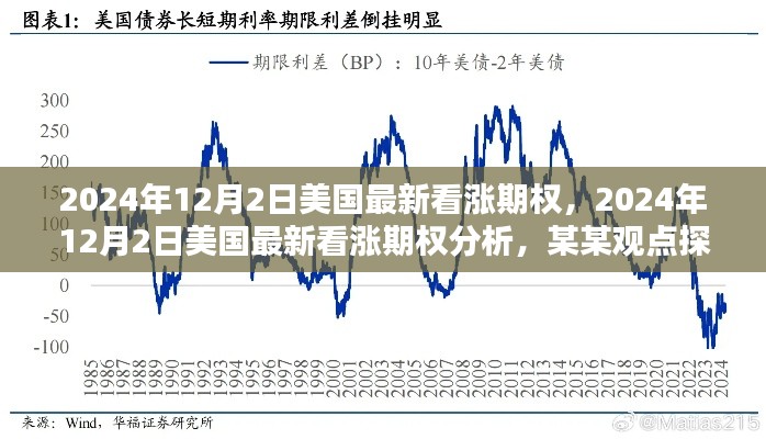 美国最新看涨期权深度解析,观点探讨与未来趋势预测(2024年12月2日)