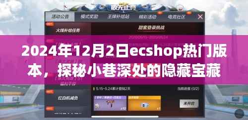 探秘小巷深处的宝藏,揭秘热门ecshop版本与特色小店的独特风情