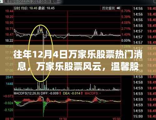 万家乐股票风云,十二月奇迹,股市中的友情与陪伴