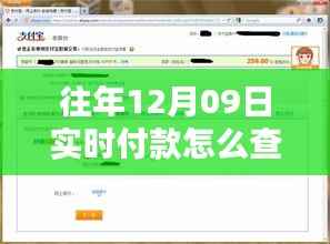 揭秘最新科技重塑支付体验,如何轻松查询十二月九日实时付款余额,未来触手可及!