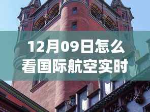 多维度视角下的国际航空动态解读与观察,12月09日实时动态分析