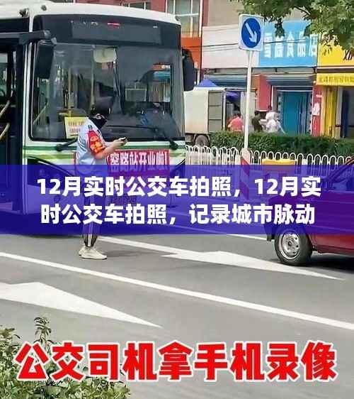 人杰地灵 第3页