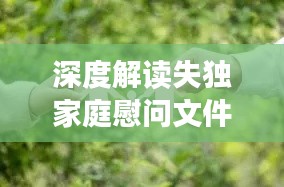 深度解读失独家庭慰问文件,关怀与支持的传递