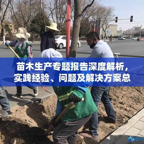 苗木生产专题报告深度解析,实践经验、问题及解决方案总结