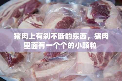 联系我们 第186页