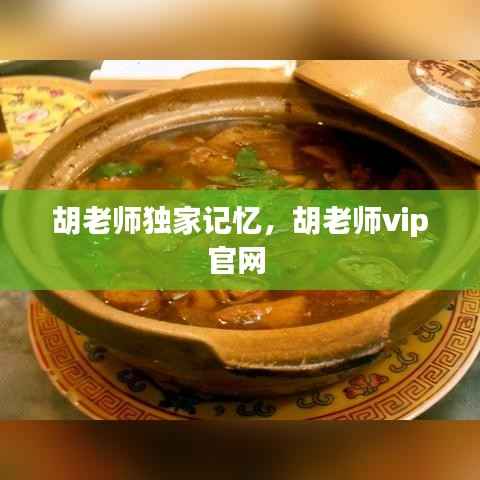 胡老师独家记忆,胡老师vip官网