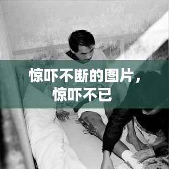 贵人善忘 第2页