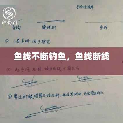 鱼线不断钓鱼,鱼线断线