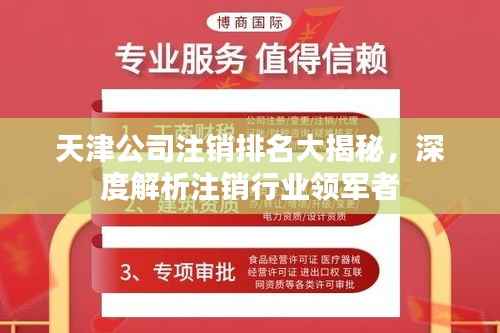 天津公司注销排名大揭秘,深度解析注销行业领军者