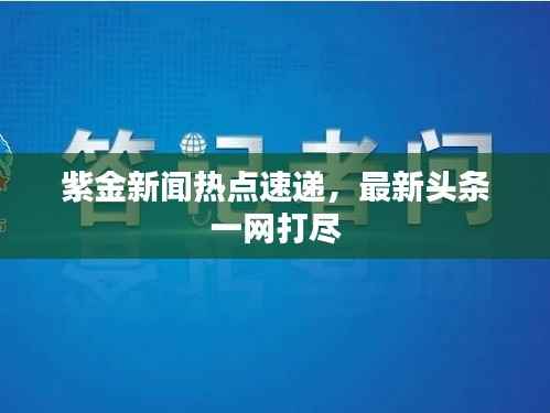 紫金新闻热点速递,最新头条一网打尽