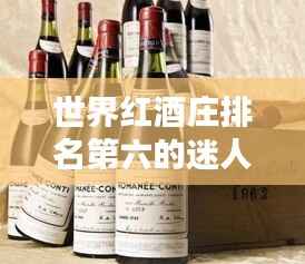 世界红酒庄排名第六的迷人魅力探索