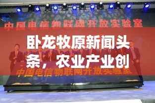 卧龙牧原新闻头条,农业产业创新发展的领航者