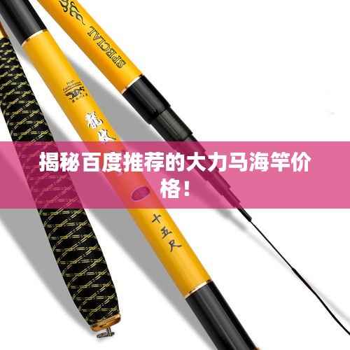 揭秘百度推荐的大力马海竿价格!