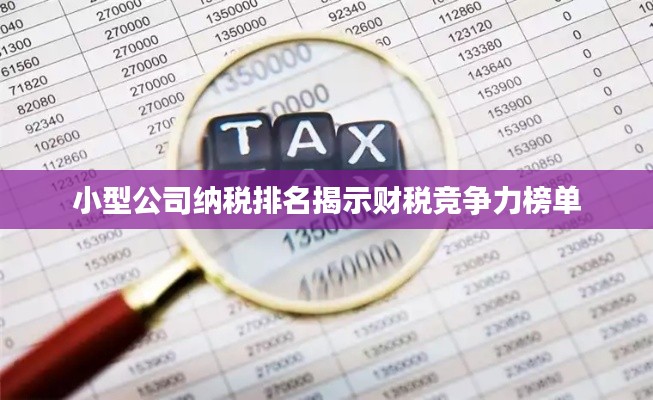 小型公司纳税排名揭示财税竞争力榜单