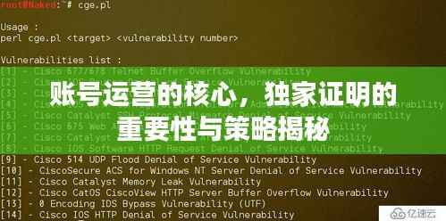 账号运营的核心,独家证明的重要性与策略揭秘
