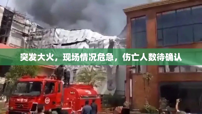 突发大火,现场情况危急,伤亡人数待确认