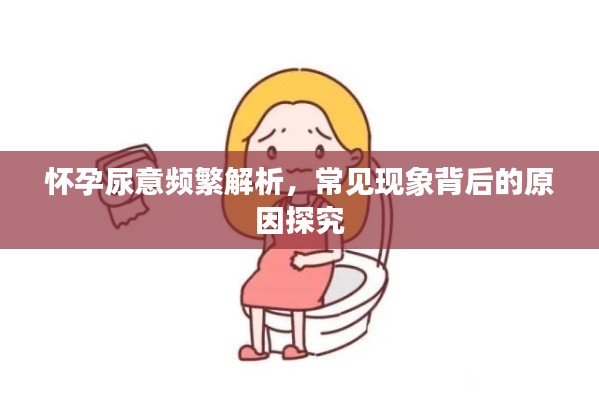 怀孕尿意频繁解析,常见现象背后的原因探究