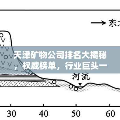 天津矿物公司排名大揭秘,权威榜单,行业巨头一网打尽!