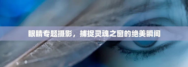 眼睛专题摄影,捕捉灵魂之窗的绝美瞬间
