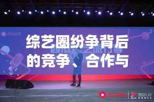 综艺圈纷争背后的竞争、合作与创新之道