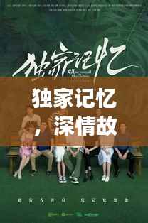 独家记忆,深情故事TXT下载与沉浸阅读之旅