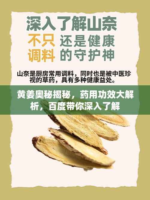 黄姜奥秘揭秘,药用功效大解析,百度带你深入了解